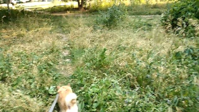 Харьков Вечерние Новости 9.07 Сильный прилёт в Центре Города