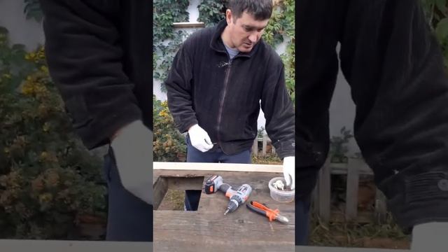 Осень не помеха для пополнения нашего дачного хозяйства новой птицей! Утка мясной породы и бройлер. смотреть онлайн