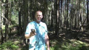 Шекспир. Сонет № 12