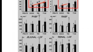 System haemodynamics and organ perfusion mismatch Jukka Takala 2015