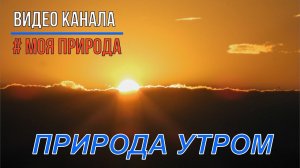 Природа утром