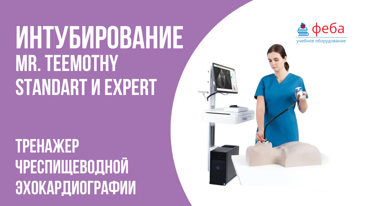 ИНТУБИРОВАНИЕ. Тренажер чреспищеводной эхокардиографии MrTEEmothy Standart и Expert