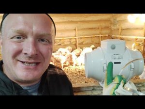 Принудительная вентиляция в курятнике.