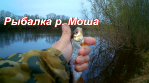 РЫБАЛКА на реке МОША с Николаем Лысковым