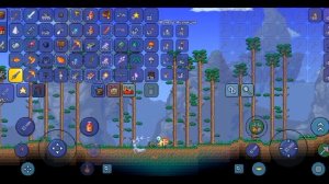 Сид в террарии 1.4.4.5 на ботинки хождения по воде (на телефоне)