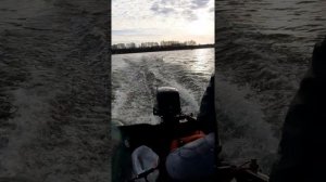 Parsun 9.8 Bark BT 310 S