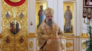 Проповедь епископа Питирима (Творогова) в день памяти перенесения мощей святителя Феофана Вышенского