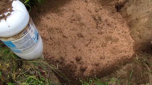 ??Осенняя посадка винограда из школки. Подготовка посадочной ямы для винограда.