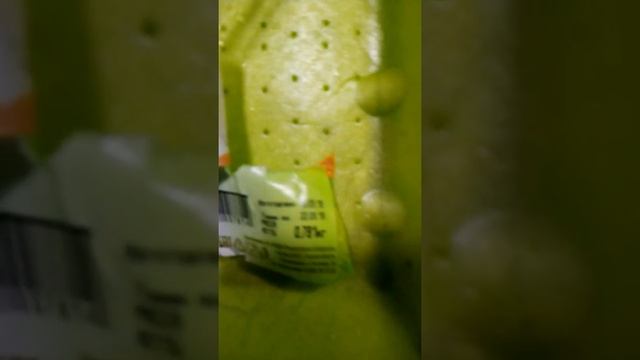 Обман в мария-ра смотреть онлайн