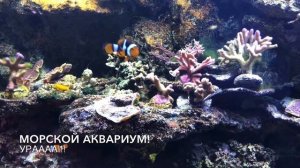 САМЫЙ БОЛЬШОЙ В МИРЕ ЗООМАГАЗИН «ZAJAC» В ДУЙСБУРГЕ