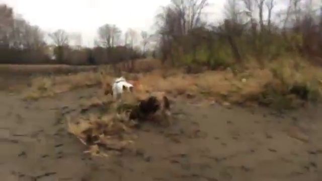 Munchkin March: Friday afternoon. Nov. 18, 2016 смотреть онлайн