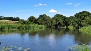 The BEST Canon Sx510 HS photo's on the net!!!