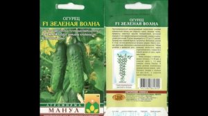 ?????ОГУРЦЫ САЛАТНЫЕ, УНИВЕРСАЛЬНЫЕ, ПУЧКОВЫЕ. Как ВЫБИРАТЬ СОРТА. СПРАШИВАЕТЕ - ОТВЕЧАЮ