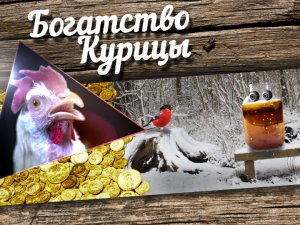 Снегирь-гомофоб и Чайный гриб