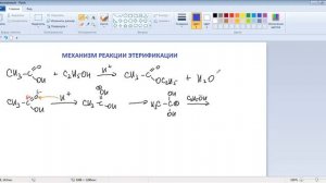 РЕАКЦИЯ ЭТЕРИФИКАЦИИ