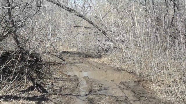 Прокладка маршрута через лес. смотреть онлайн