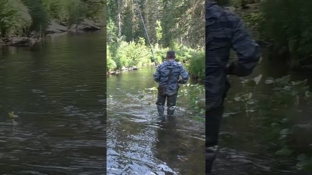 1707 Здесь надо Рыбачить Дальним Забросом #дмитрийяков #рыбалка #тайга #fishing #хариус #выживалово