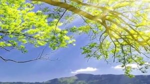 Анне Вески - Не Грусти,Человек