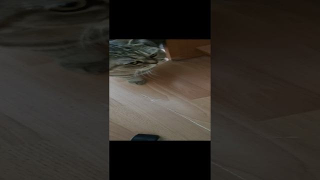 Лиза она такая классная. Её можно вечно снимать.