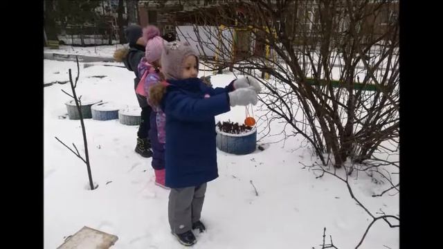 Краткосрочный проект "Поможем птицам зимой" смотреть онлайн