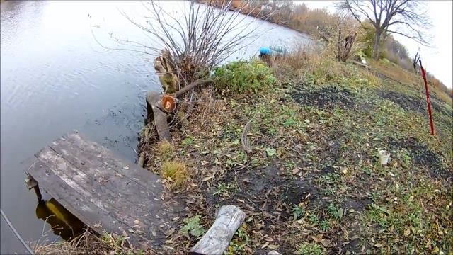 Ловля окуня на живца смотреть онлайн