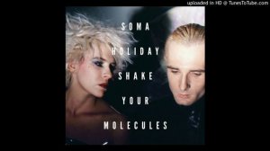 Soma Holiday - Shake Your Molecules (Dub)