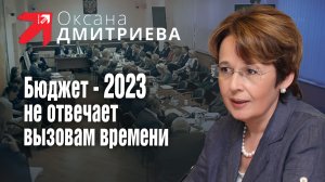 Оксана Дмитриева считает, что проект бюджета-2023 повторяет все ошибки последних десятилетий