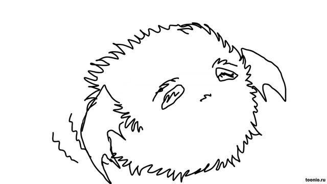 Помпоша на Тунио (1)