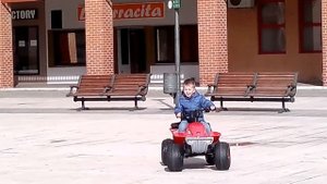 molto elite