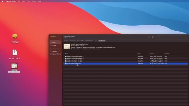 SnapCamera No Lens FIXED MacOS смотреть онлайн