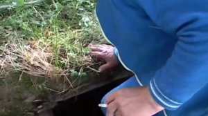 Река Медведица или 20 лет спустя