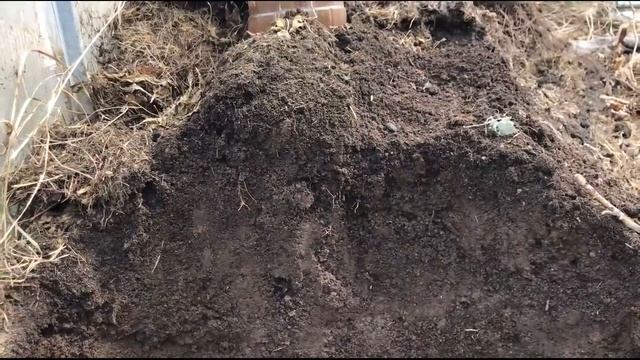 ГОРЯЧАЯ ТРАВА - РЕЗУЛЬТАТЫ! смотреть онлайн