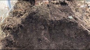 ГОРЯЧАЯ ТРАВА - РЕЗУЛЬТАТЫ!