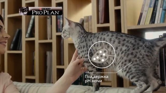 Purina Pro Plan. Ваш питомец - наше вдохновение! смотреть онлайн