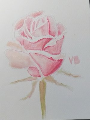 Рисунок розы акварельными маркерами || Sketching