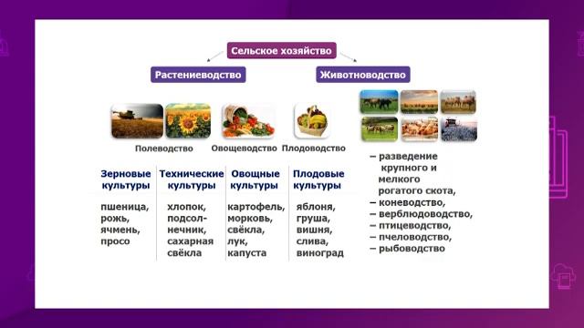 Познание мира. 4 класс. Сельское хозяйство моего края /03.02.2021/ смотреть онлайн