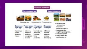 Познание мира. 4 класс. Сельское хозяйство моего края /03.02.2021/