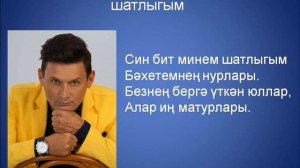 Анвар Нургалиев - Син бит минем шатлыгым