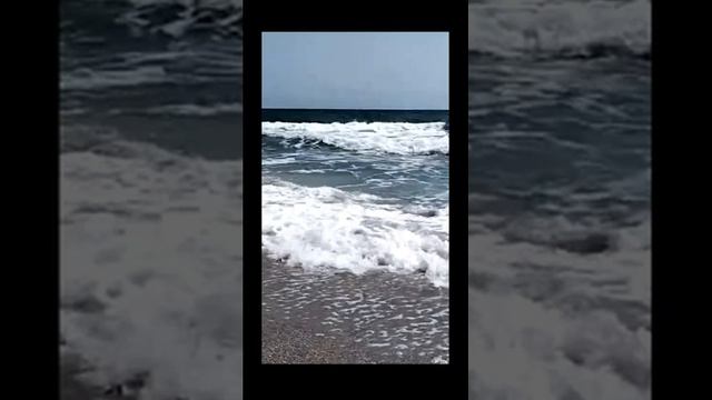 Звуки природы. Крик пролетающей чайки для расслабления