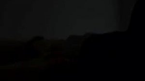 ОДА ЛЮБВИ СКАЛЛИ И МАЛДЕРА