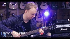 ЭТО ДВЕ ЛУЧШИЕ ГИТАРЫ ДЛЯ НОВИЧКА! YAMAHA FG800 И FG820!