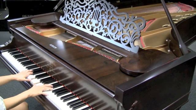 STEINWAY D CONCERT GRAND смотреть онлайн
