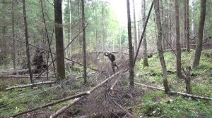 Томагавк Frontier Hawk от Cold Steel. Хищный зверь в твоих руках!