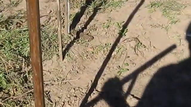 Осенние работы в огороде смотреть онлайн