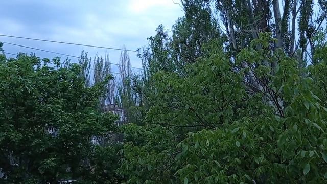 ОДЕССА 14 мая. СЕГОДНЯ. Просто утро 5.30 смотреть онлайн