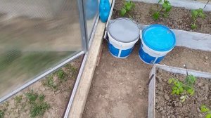 Теплица от Мостеплицы