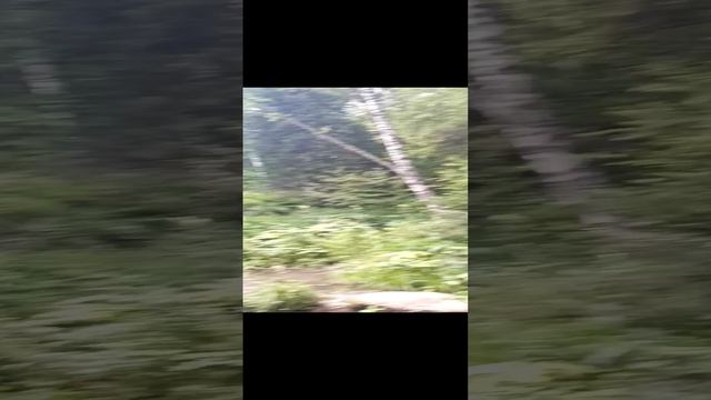 VID_20220712_140533.mp4