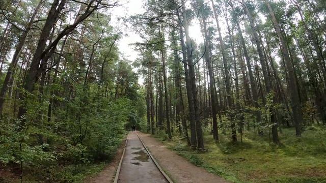 Калининград глазами туриста из Москвы
