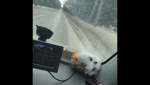 экзаменационный маршрут гибдд на Обручева Воронеж экзамен гибдд