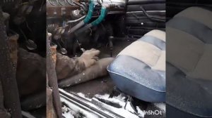 Самодельный гусеничный вездеход "Чулым"
